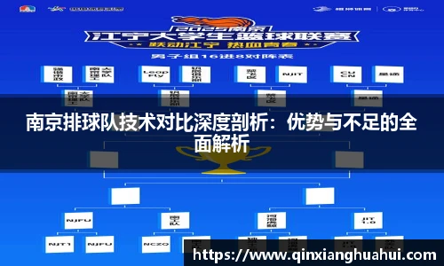 南京排球队技术对比深度剖析：优势与不足的全面解析